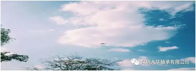 深圳大華軸承2019年戶外拓展培訓(xùn) 深圳大華軸承2019年戶外拓展培訓(xùn)